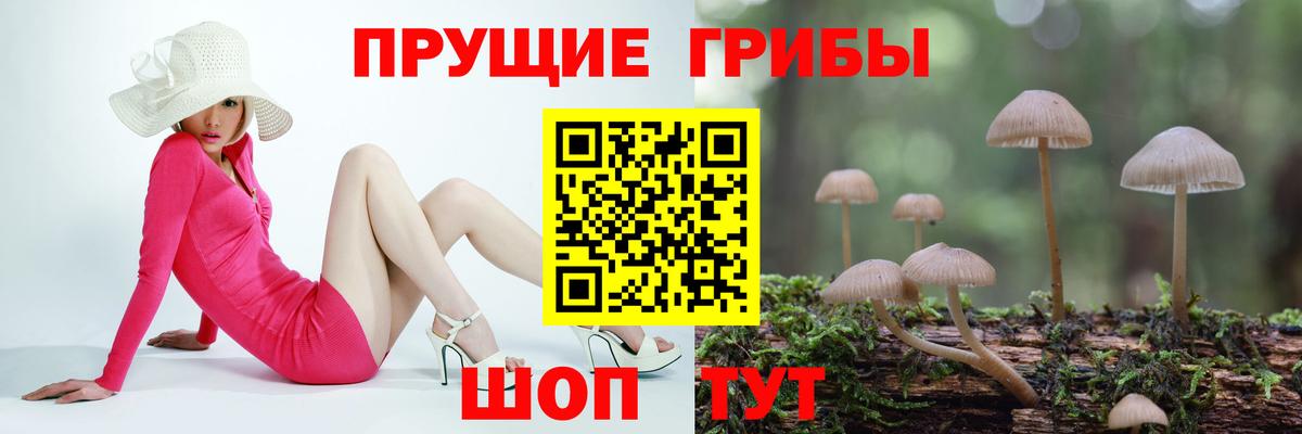 Псилоцибиновые грибы MAGIC MUSHROOMS  Вход с VPN  Псилоцибиновые грибы MAGIC MUSHROOMS  Шарыпово 