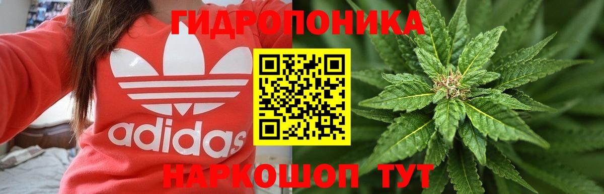Шарыпово  Марихуана MAZAR  Конопля гибрид  Вход с VPN  Шишки марихуана план 